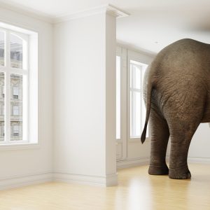 The Elephant in the Room