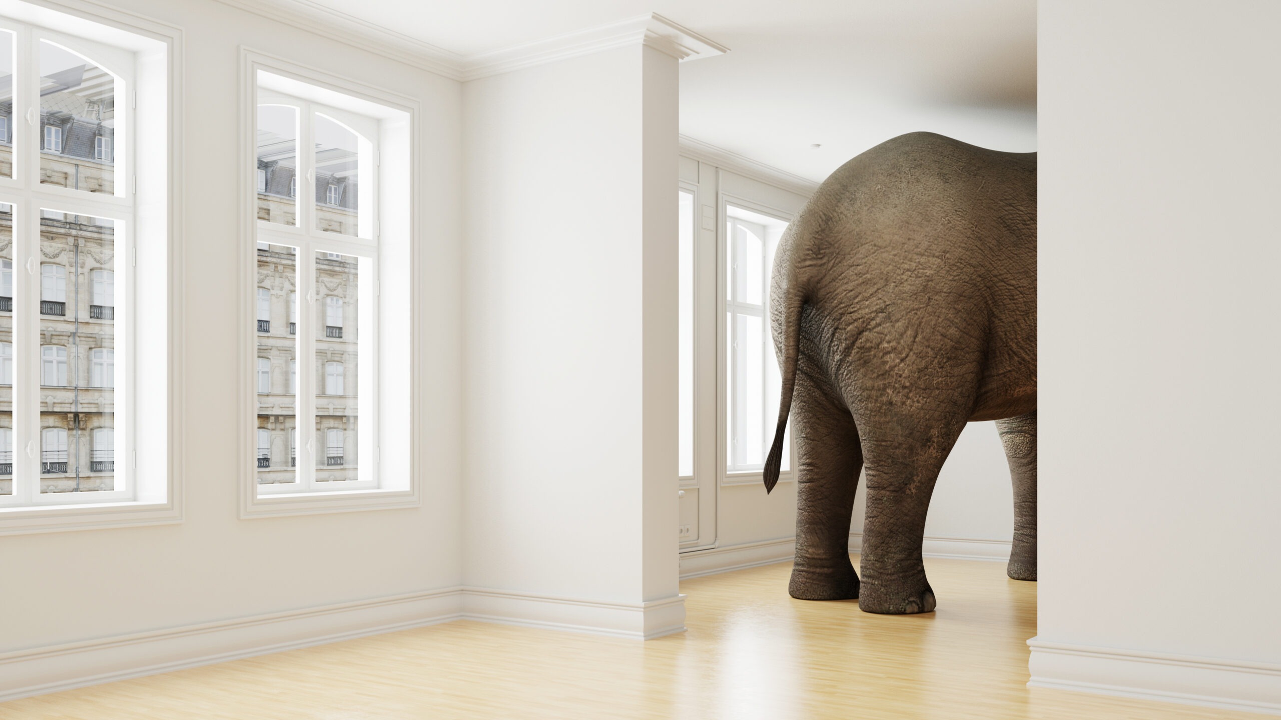 The Elephant in the Room
